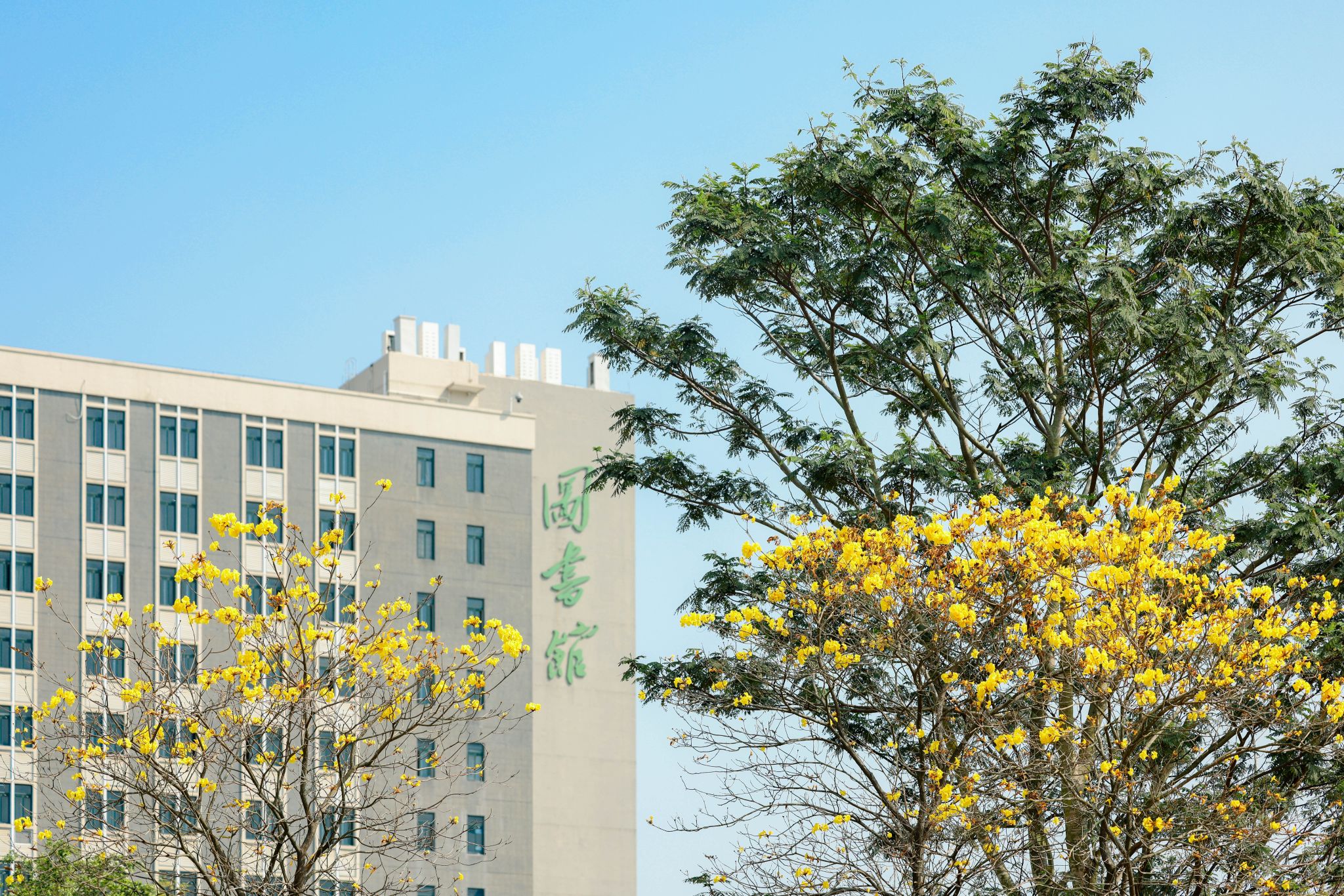 校区风景2.jpg